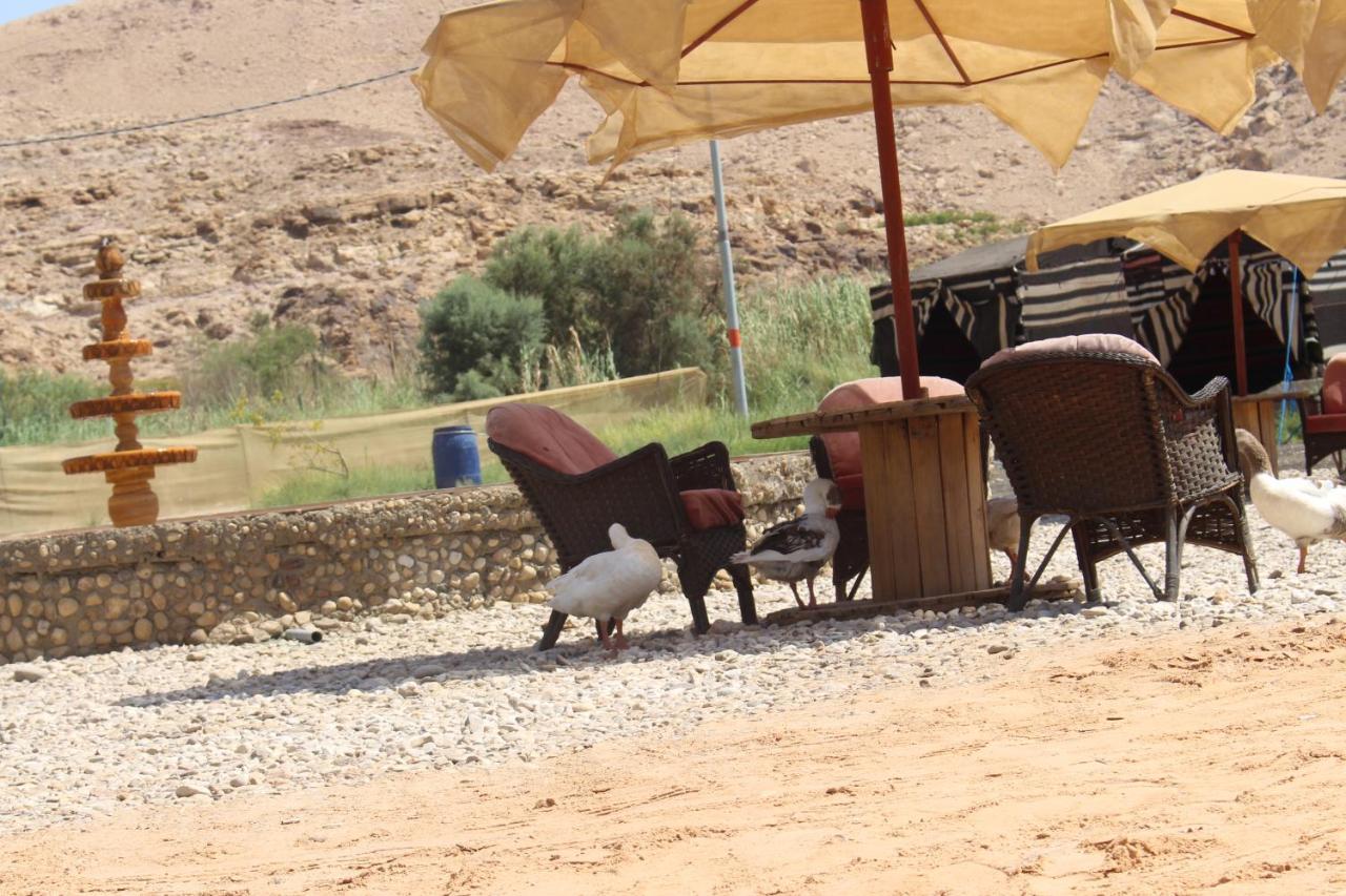 Khawkhah Wadi Al-Hassa Camp酒店 外观 照片