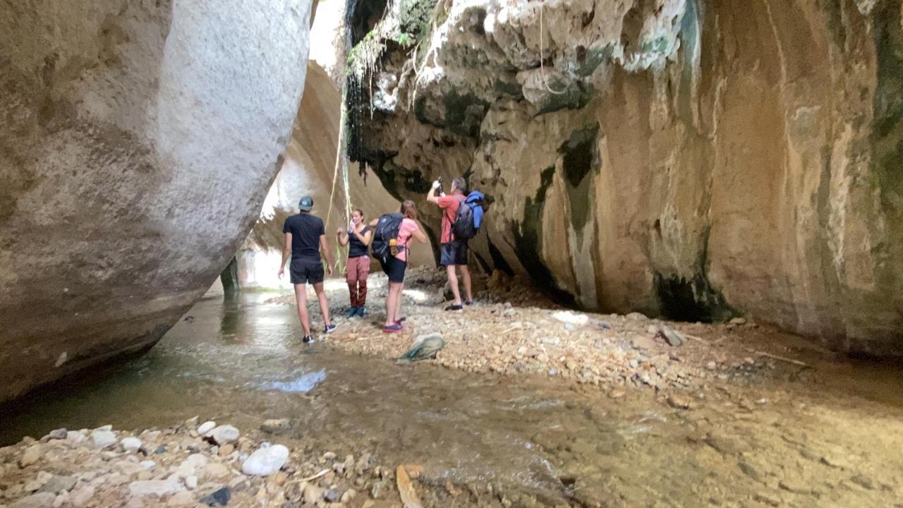 Khawkhah Wadi Al-Hassa Camp酒店 外观 照片