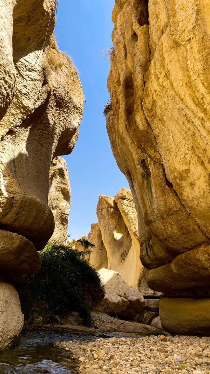 Khawkhah Wadi Al-Hassa Camp酒店 外观 照片