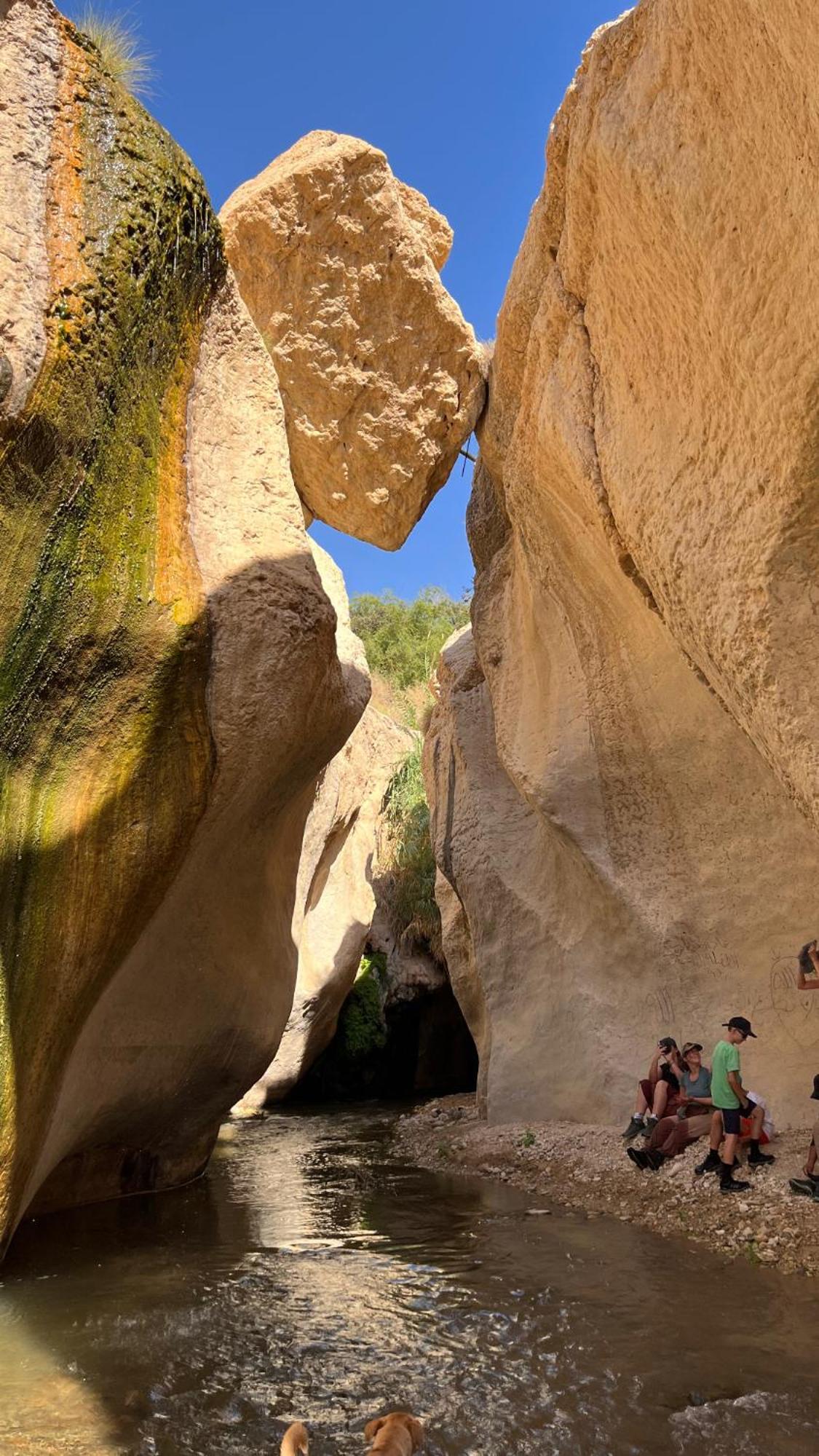 Khawkhah Wadi Al-Hassa Camp酒店 外观 照片